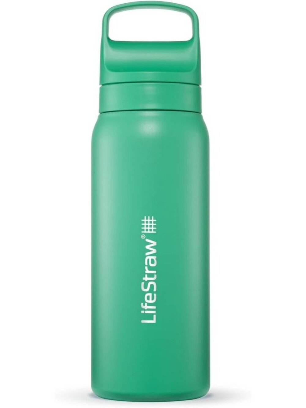 Insulated Steel Water Filter Bottle, 24 oz - Eco-Friendly, Reusable, Cactus